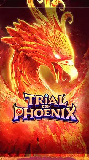 Cược Bóng Chuyền Vận May